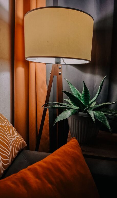 Tips for Creating a Cozy and Inviting Living Room Space on a Budget